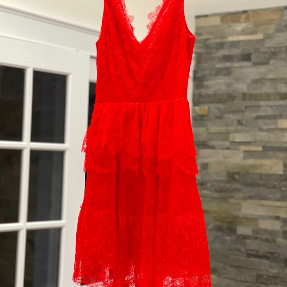 Gorgeous lace BCBGMaxazria dress red